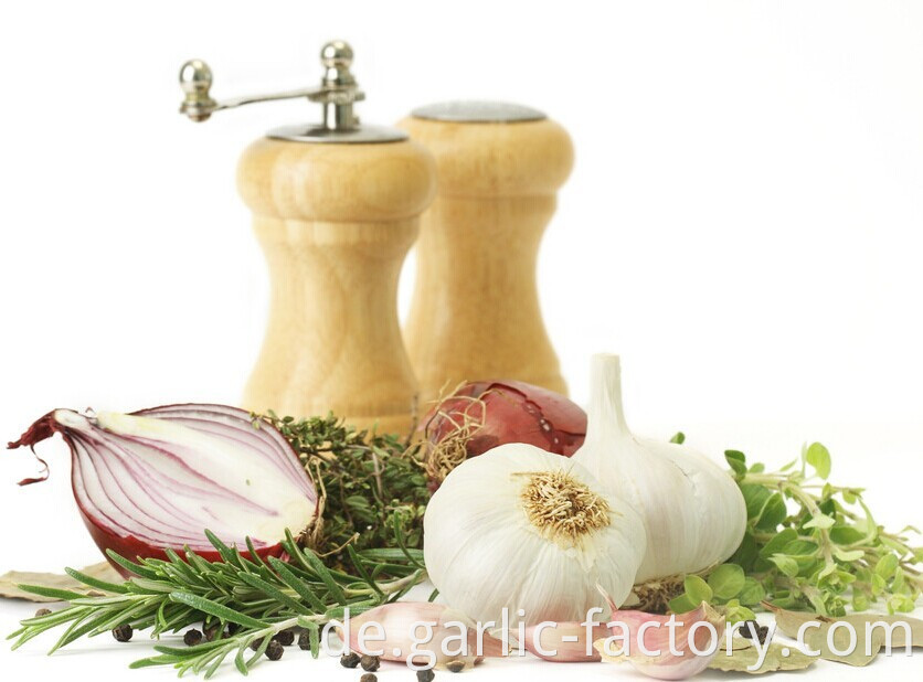 Fresh Garlic With Competitive Price